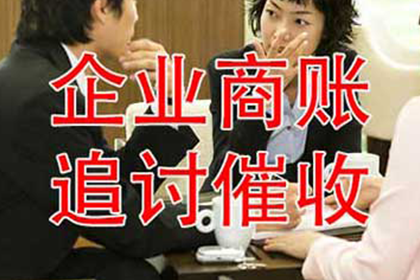 欠款案件法院执行判决详解